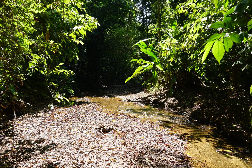Finca Retigre