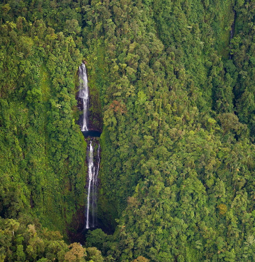 La Danta Salvaje - Costa Rica Rainforest Waterfall