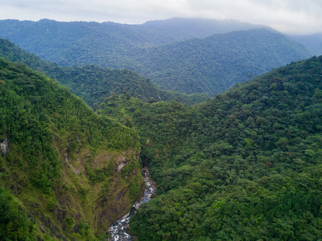 Potentially The Most Important National Park In Costa Rica – Barbilla National Park