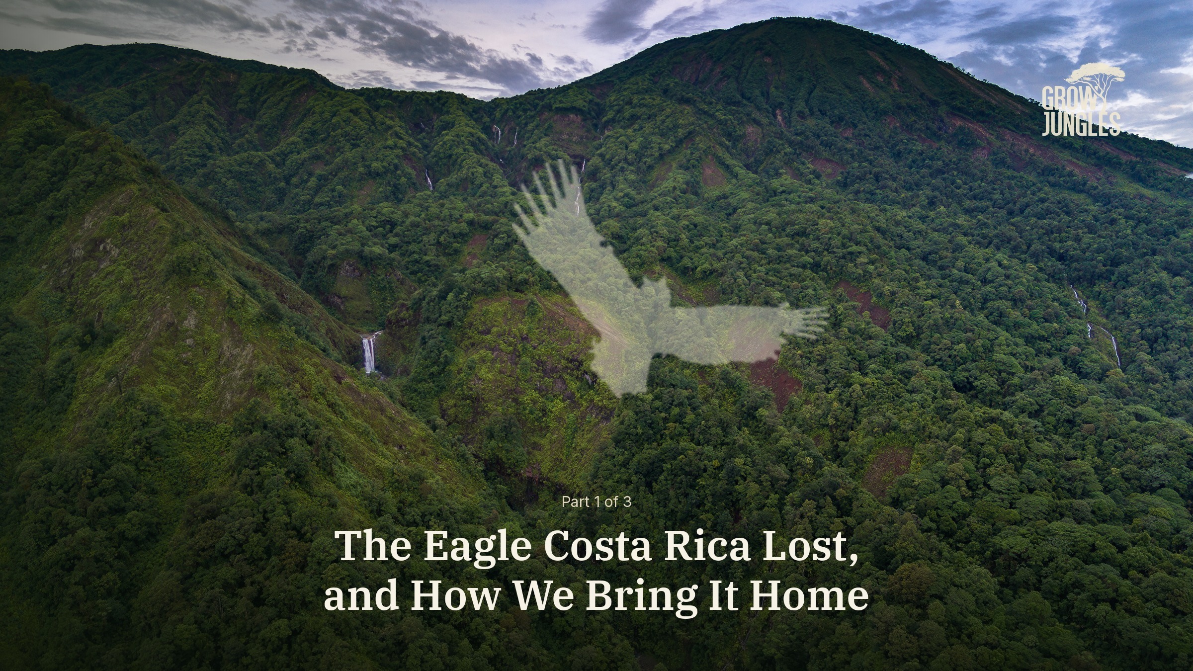 Aerial view of forested mountains and waterfalls in southern Costa Rica with a faint harpy eagle in flight and the article title