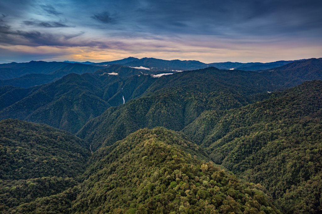 Aerial view of Costa Rica mountain rainforest