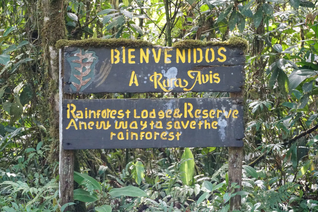 Rara Avis: Impact On Rainforest Conservation