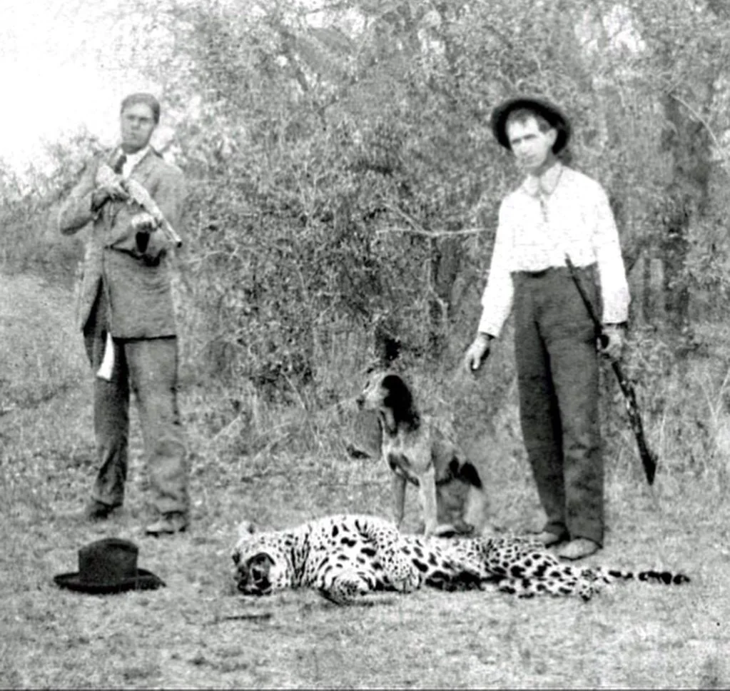 Historical documentation: Killed jaguar with hunters in South Texas brushland, 1920s-1940s