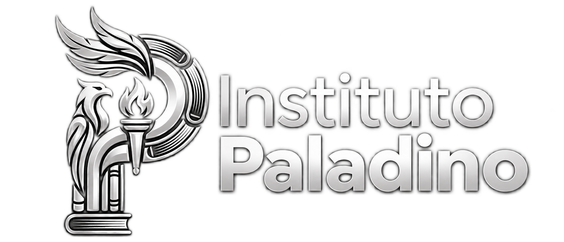 Instituto Educacional Paladino