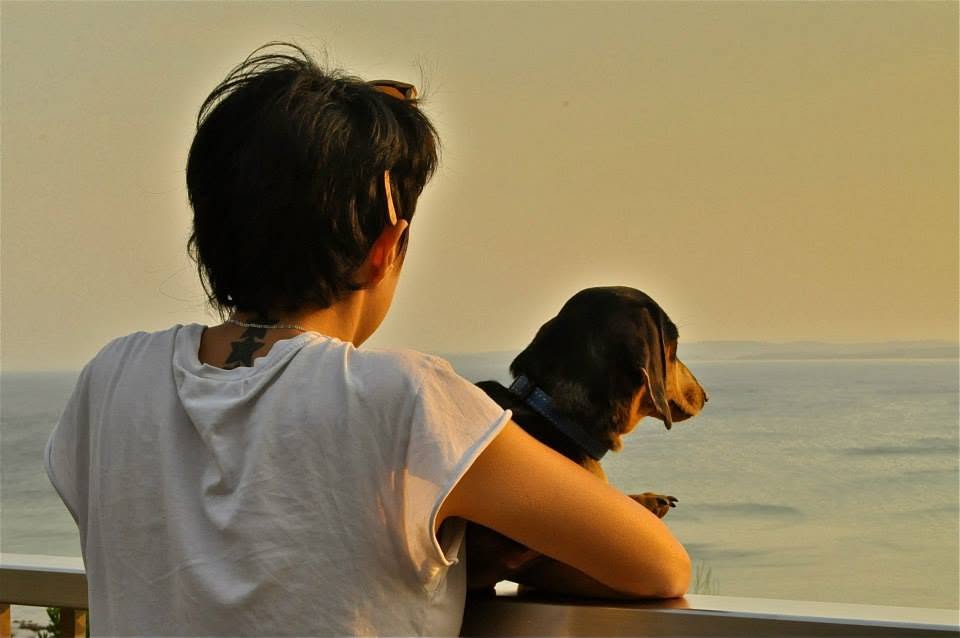 Owner with their dog watching the sunset
