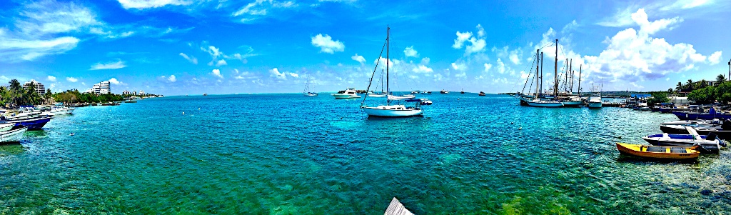 A tropical marina with a single white sailboat