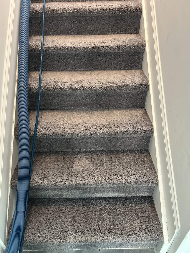 Stair carpet cleaning