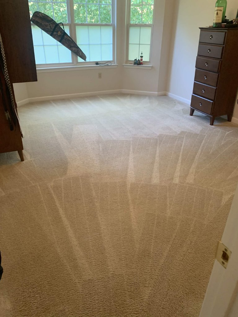Freshly cleaned bedroom carpet