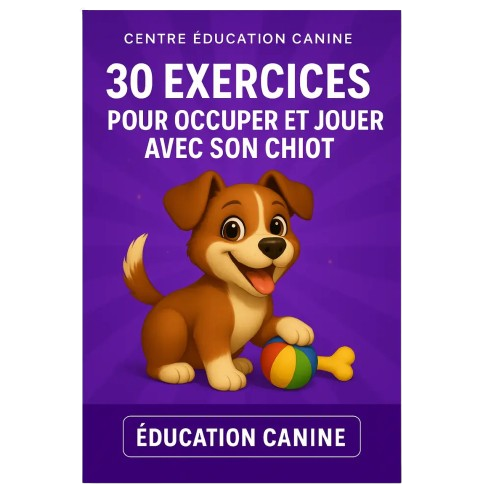 30 exercices pour occuper et jouer avec son chiot