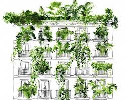 ECO Hostal Grau