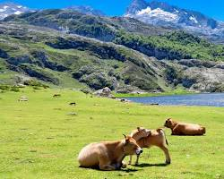 Lagos de Covadonga
