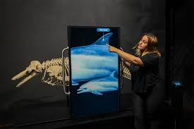 Munba Whale Museum
