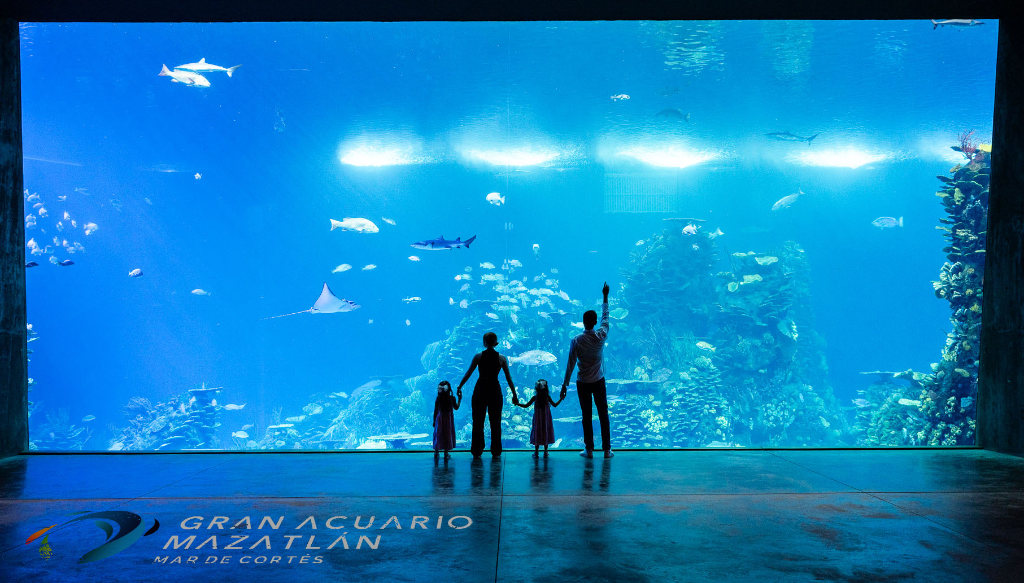 Mazatlan Aquarium