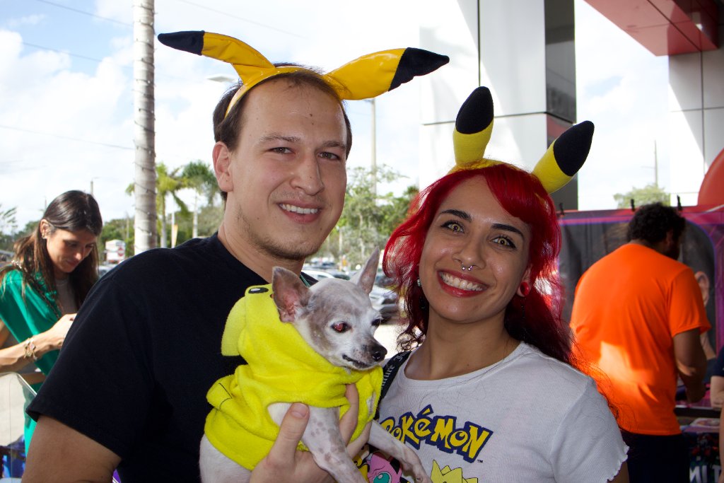 Pokemon Merchandise Display