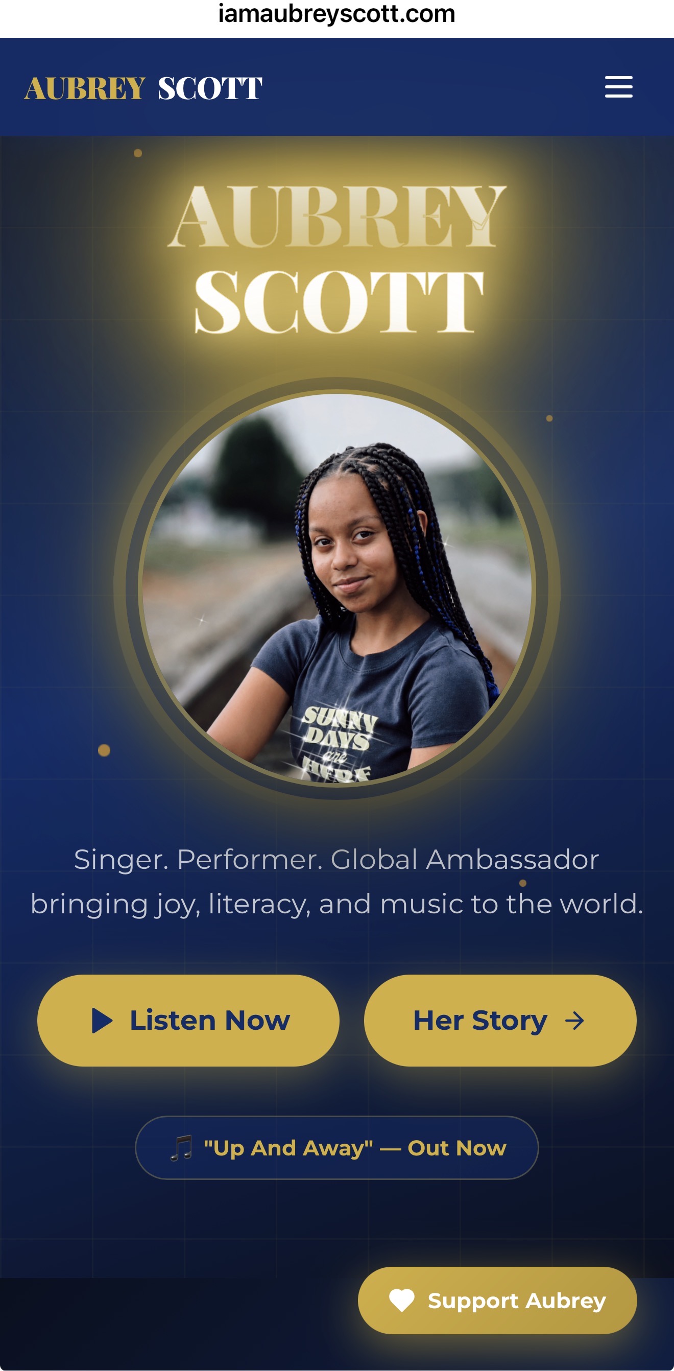 Client website preview 5