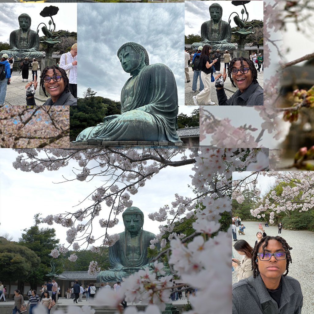 The MKS Master in Japan — cherry blossoms and the Great Buddha of Kamakura