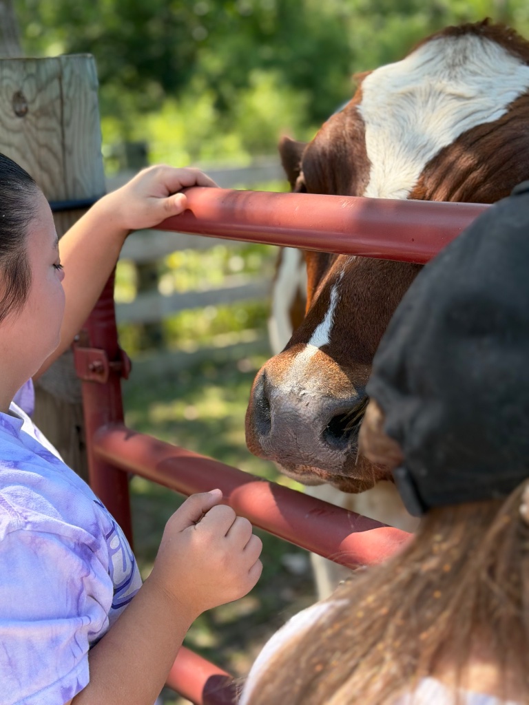 Kiss a Cow Day Community Visit photo 3