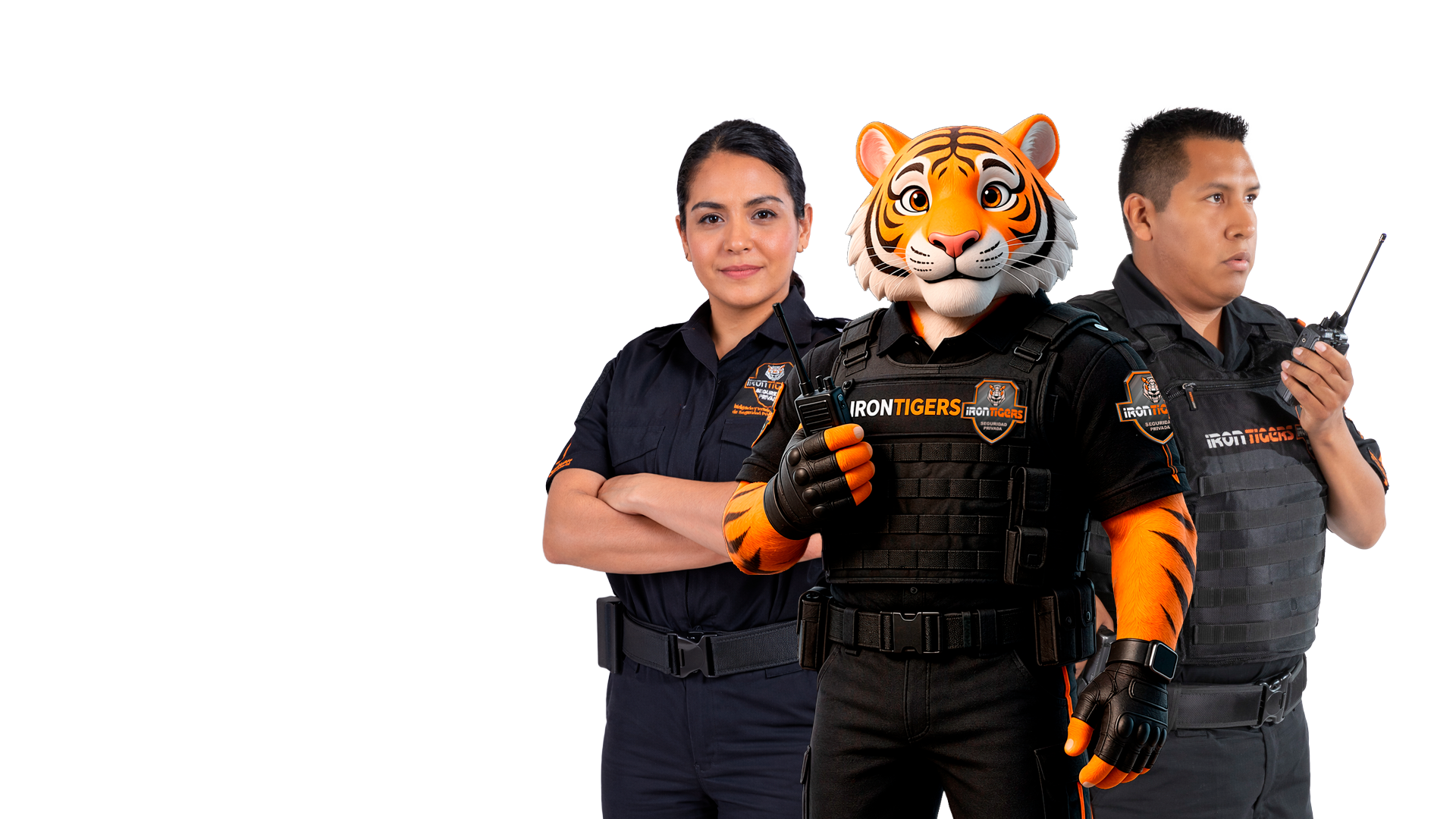 IronTigers Security Team