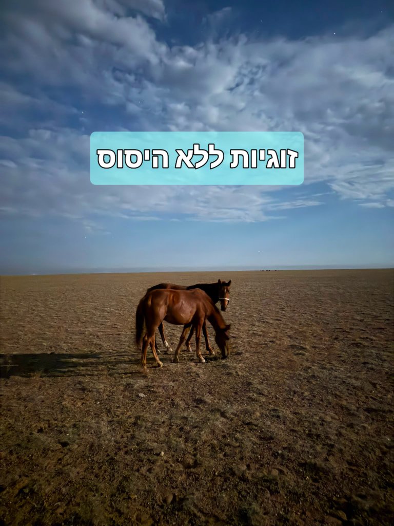 זוגיות ללא היסוס