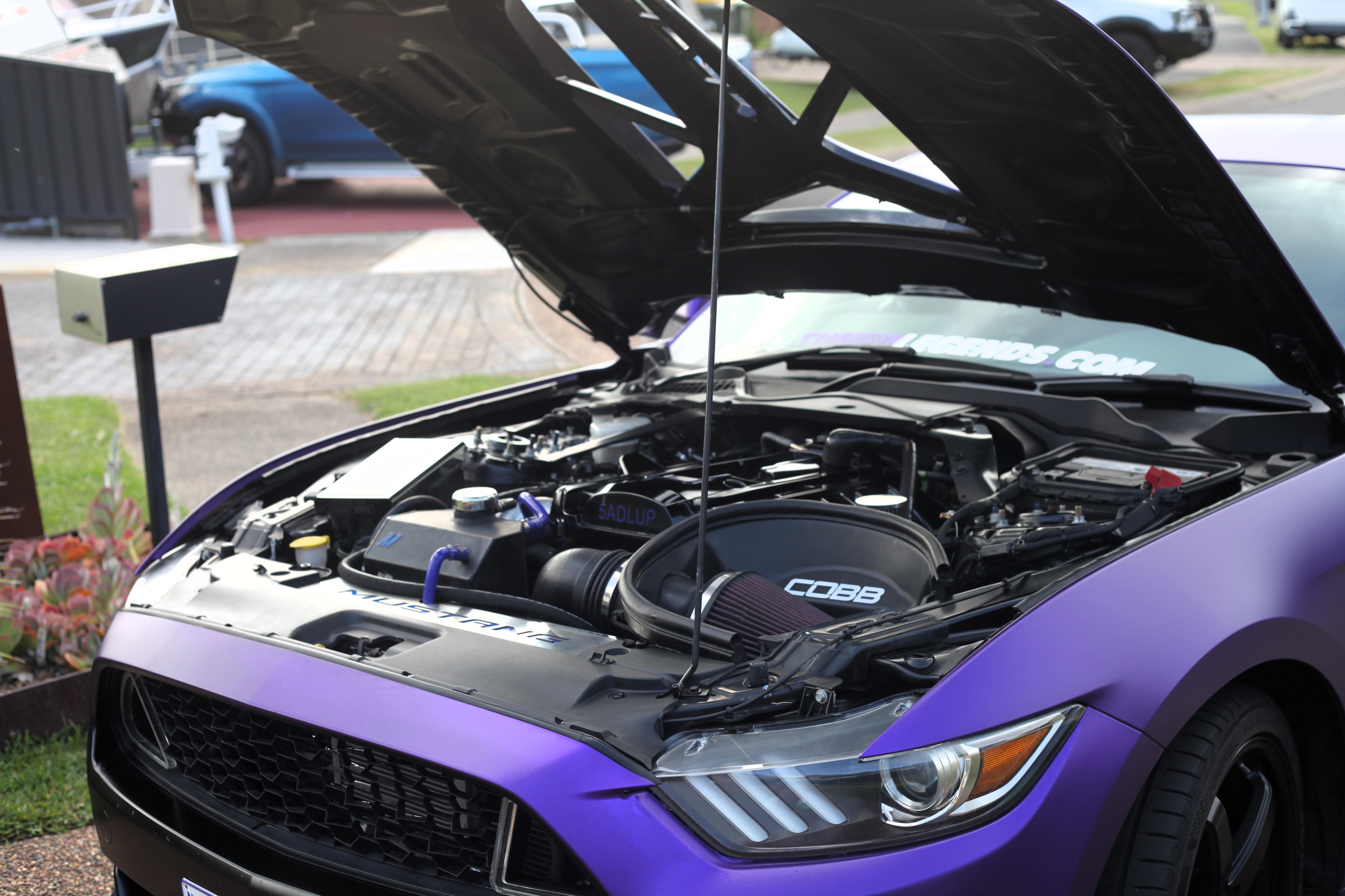 Mustang Engine Bay