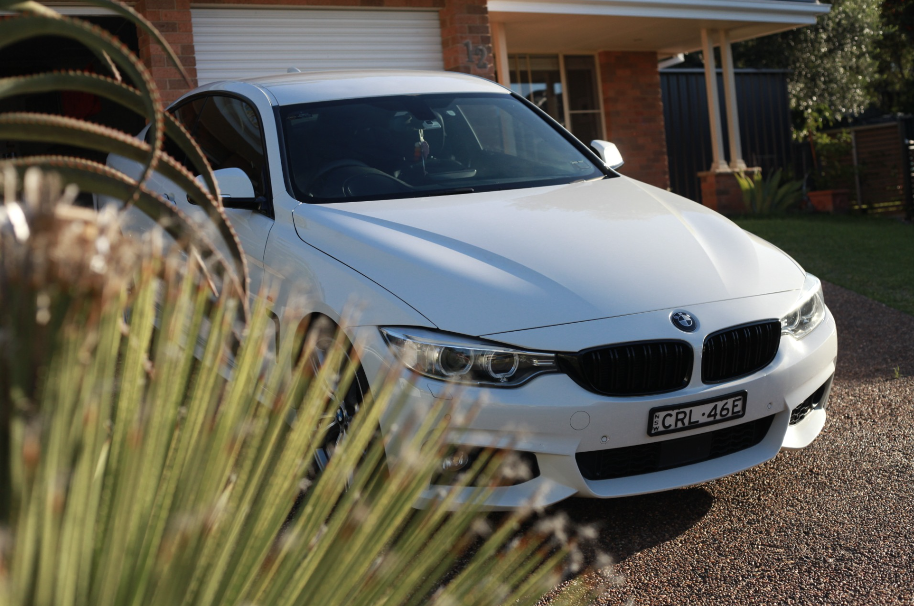 BMW Detail