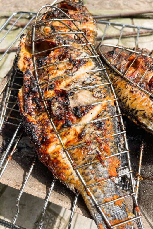 Tilapia grillé