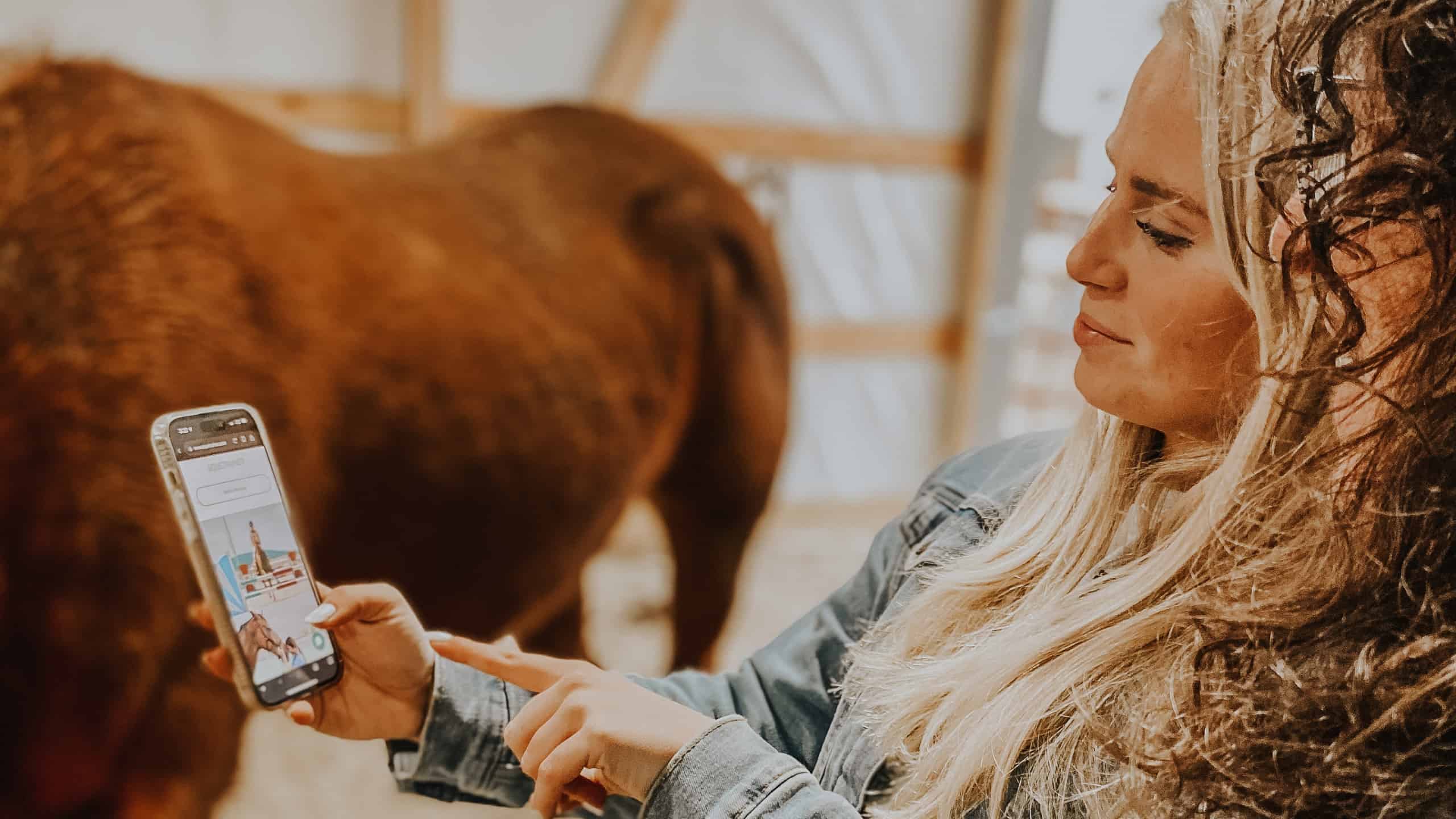 Entrepreneurship SAEs Create Equine Apps