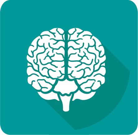Brain