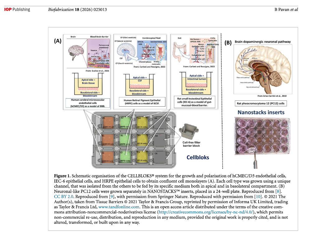 NANOSTACKS™ connected multi-barrier human biology diagram