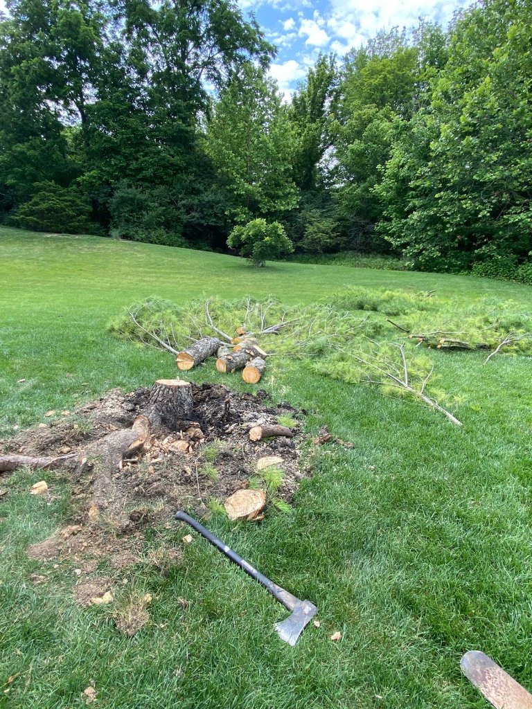 Landscaping project 2