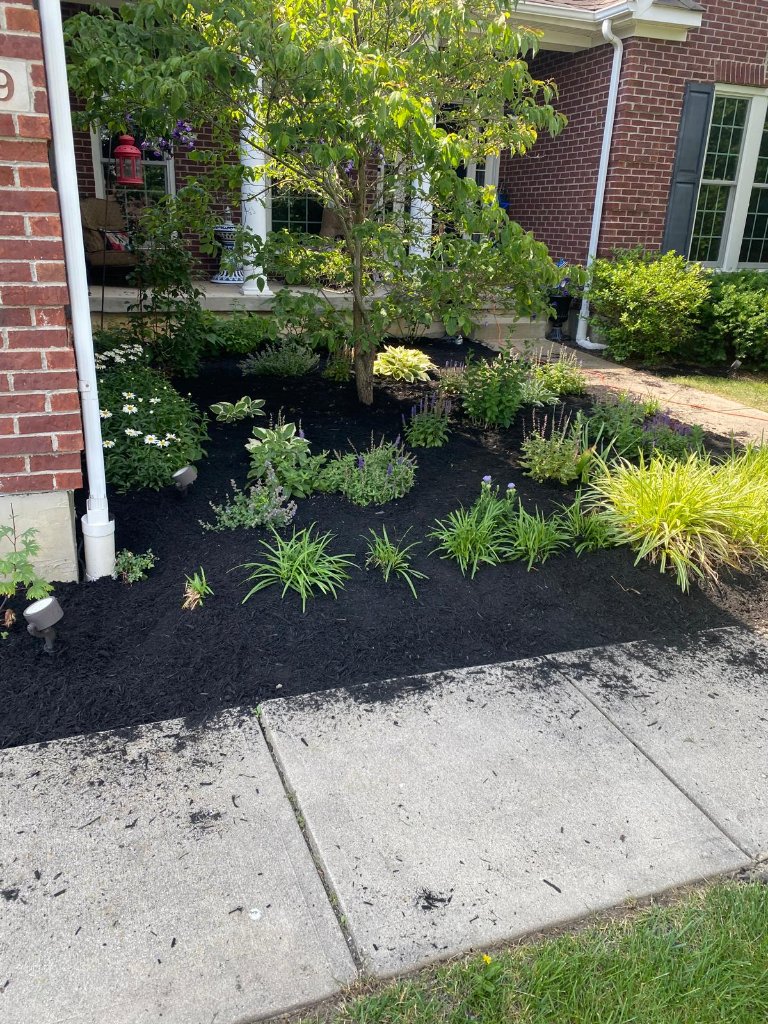 Landscaping project 8