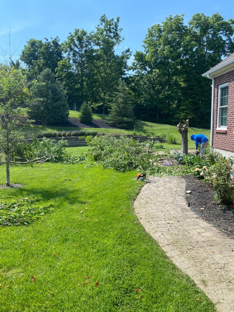 Landscaping project 11