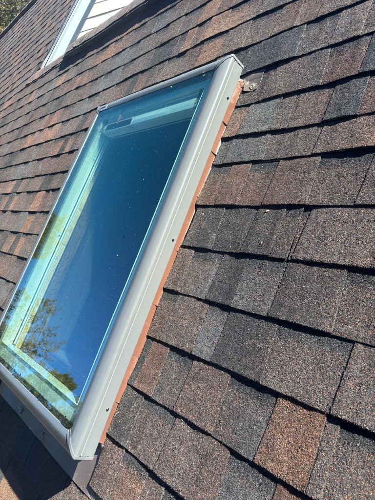Window & skylight project 6