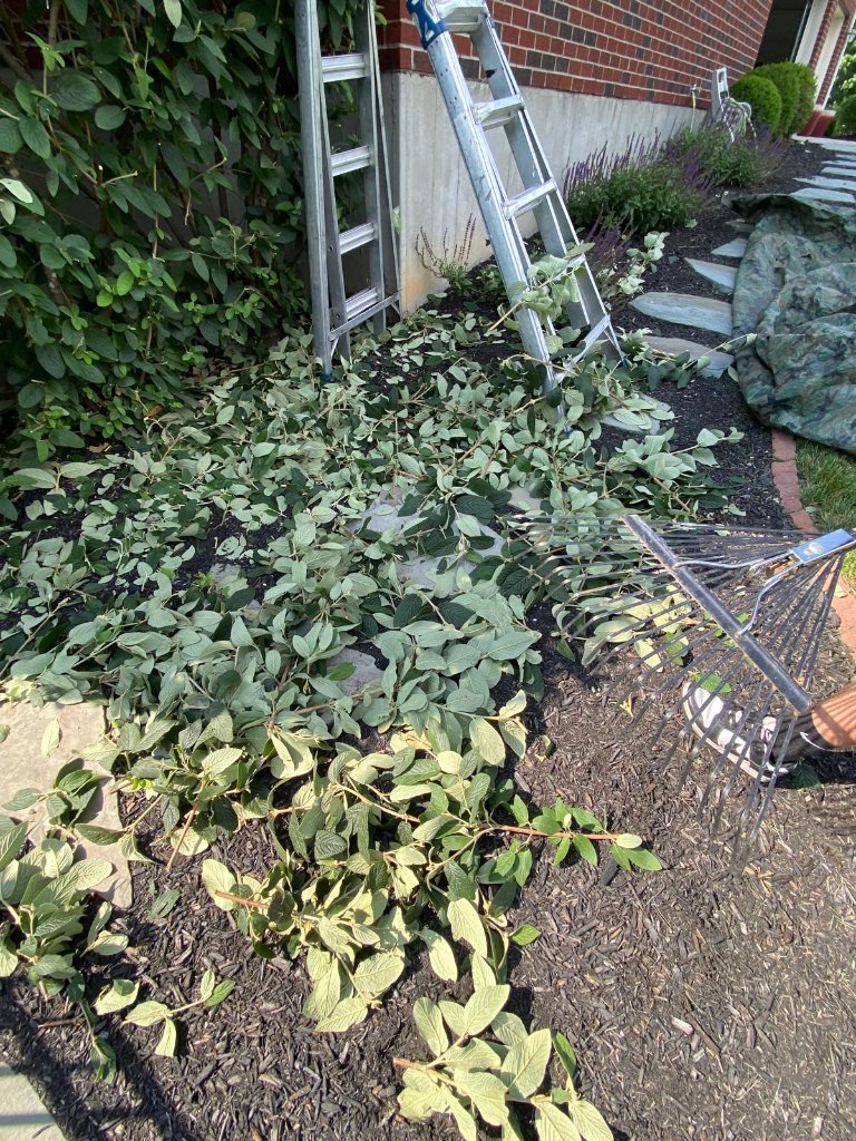 Landscaping project 12