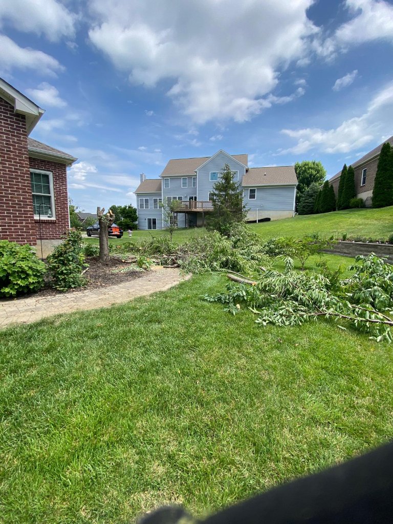 Landscaping project 3