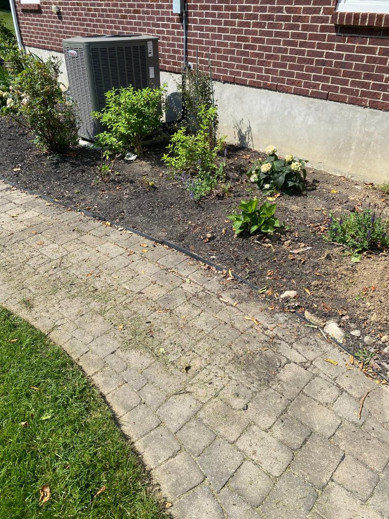 Landscaping project 10