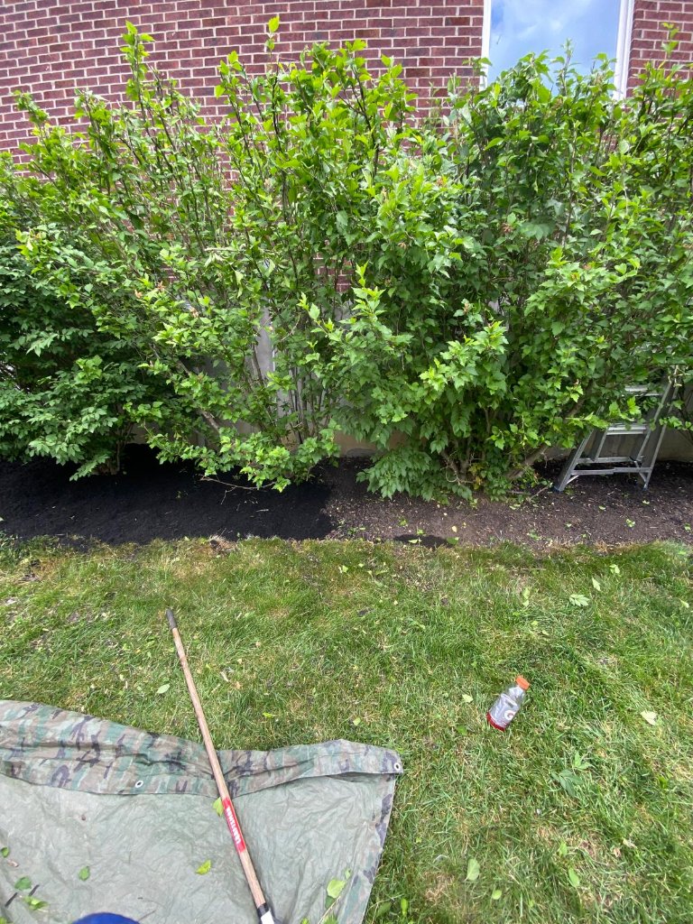 Landscaping project 7