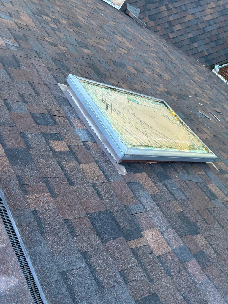 Window & skylight project 5