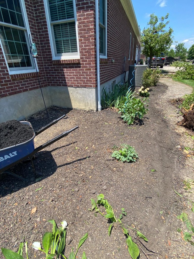 Landscaping project 1