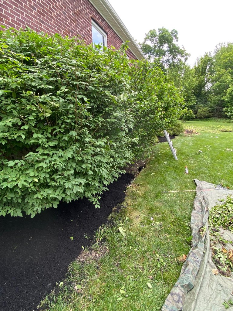 Landscaping project 6