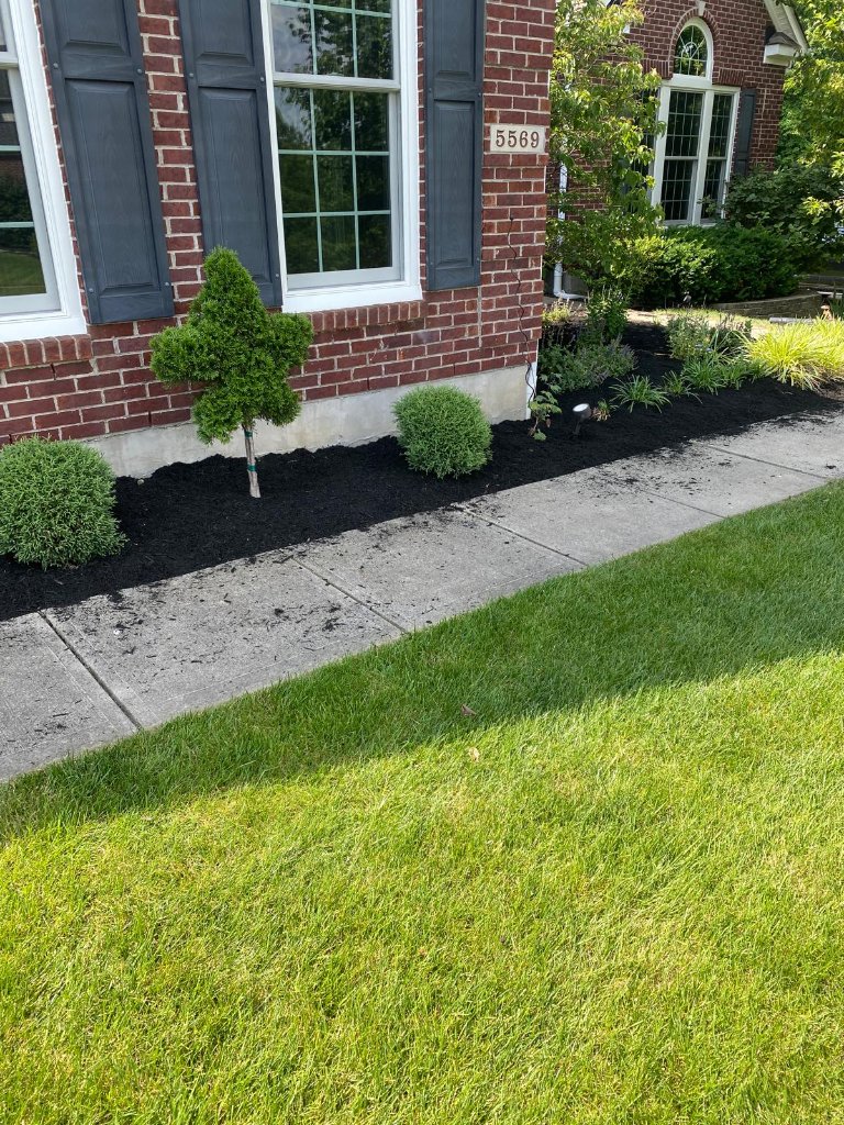Landscaping project 9
