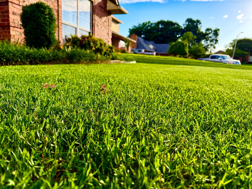 Green residential lawn in Stillwater, Oklahoma