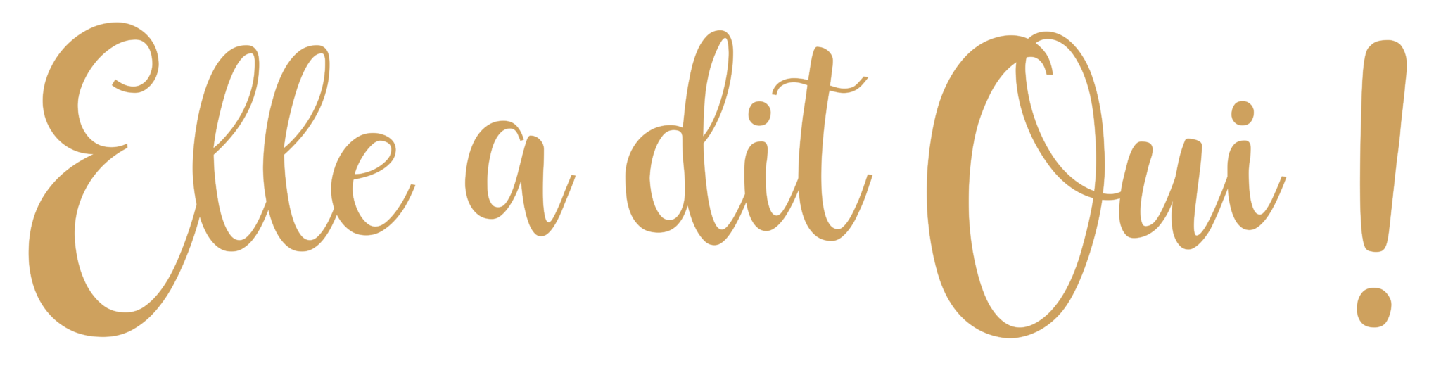Elle a dit Oui — boutique de robes de mariée à Caen, cliente BrideALL