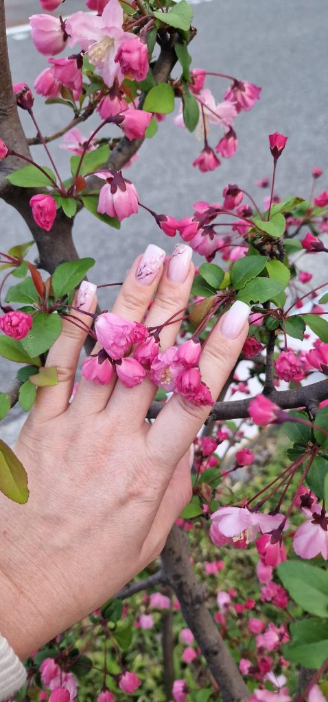 Kirschblüten & Natur Nageldesign