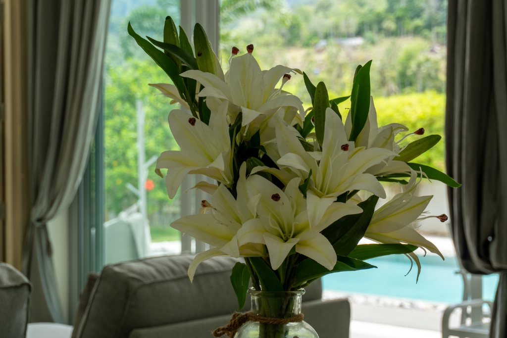Autre 5 — Coconuts Villa n° 2 à Lamai, Koh Samui