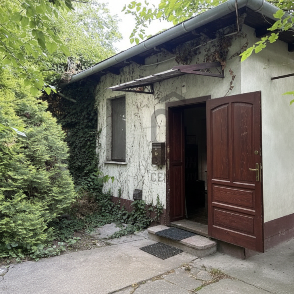 Kép 5