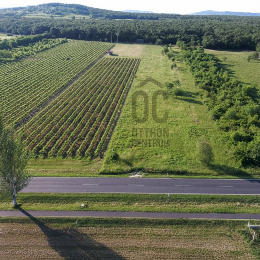 Nearly half a hectare of agricultural land for sale on the outskirts of Kővágóörs!