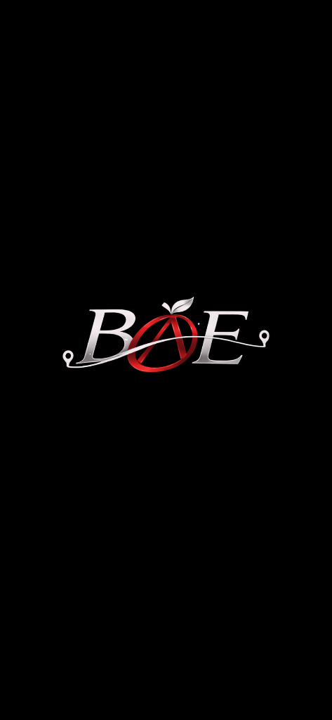 BAE splash logo