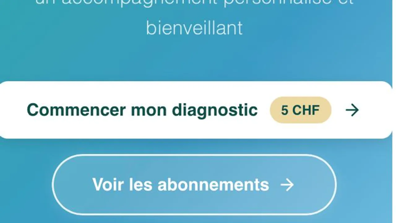 Désendettement template preview