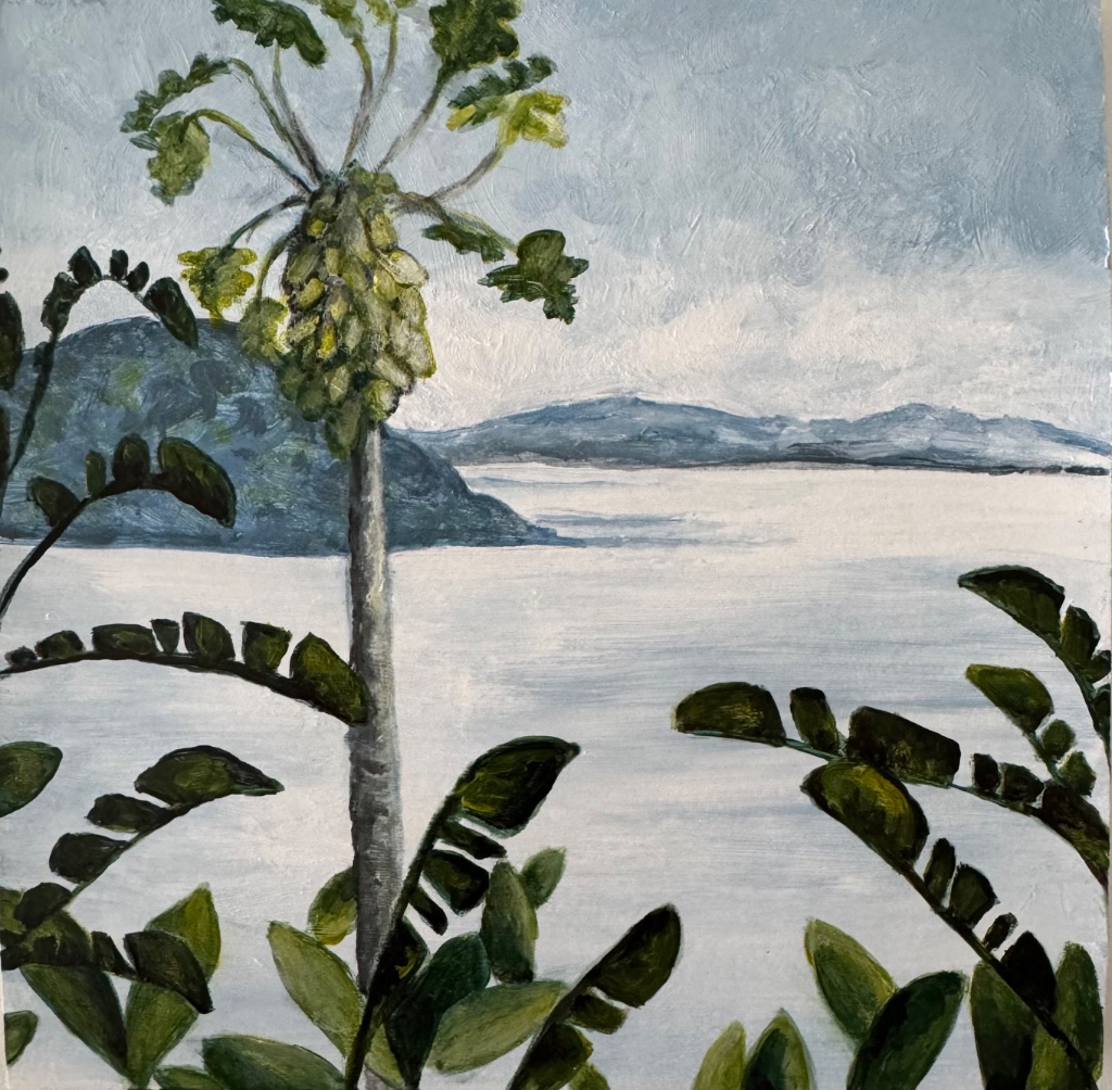 Caribbean Landscape With Detailed Foreground & Water & Mountains